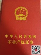 市中心，學(xué)區(qū)房