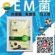 使用水產em菌養殖對蝦有什么作用