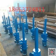 電液推桿 性能穩(wěn)定 結構簡單 操作靈活 規(guī)格多樣