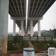 四川成都氯化橡膠漆/氯化橡膠涂料供應(yīng)廠商