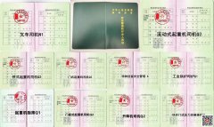 （重慶市渝中區(qū)）門式起重司機(jī)報(bào)名條件