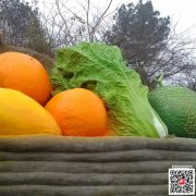 貴州貴陽聚氨酯漆涂料批發(fā)
